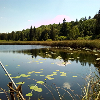Du Lac d'Onoz aux berges du Lac de Vouglans - ORGELET