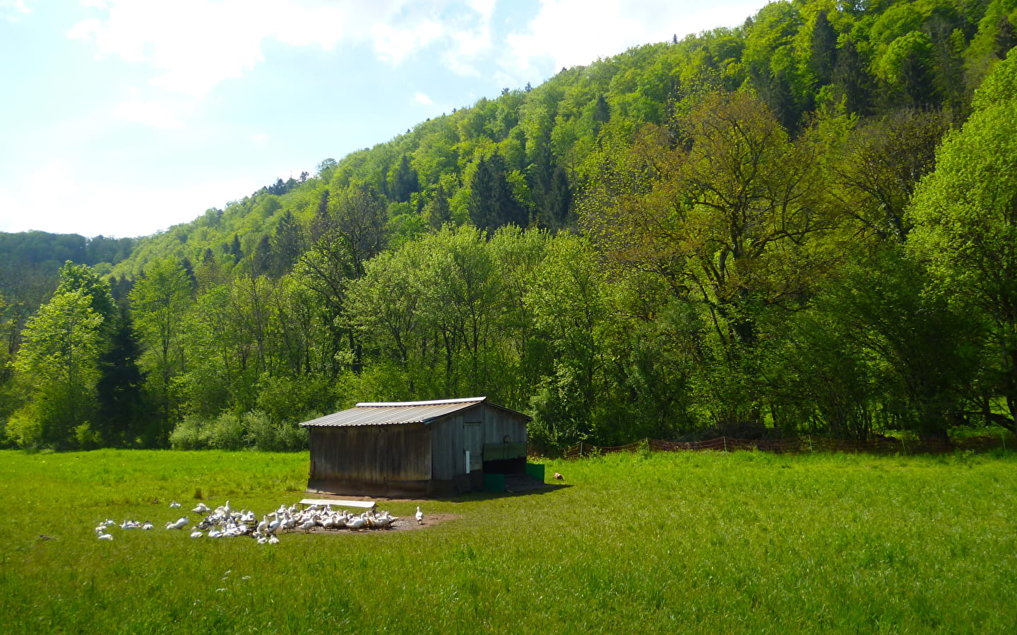 La Ferme de la Maison du Bois