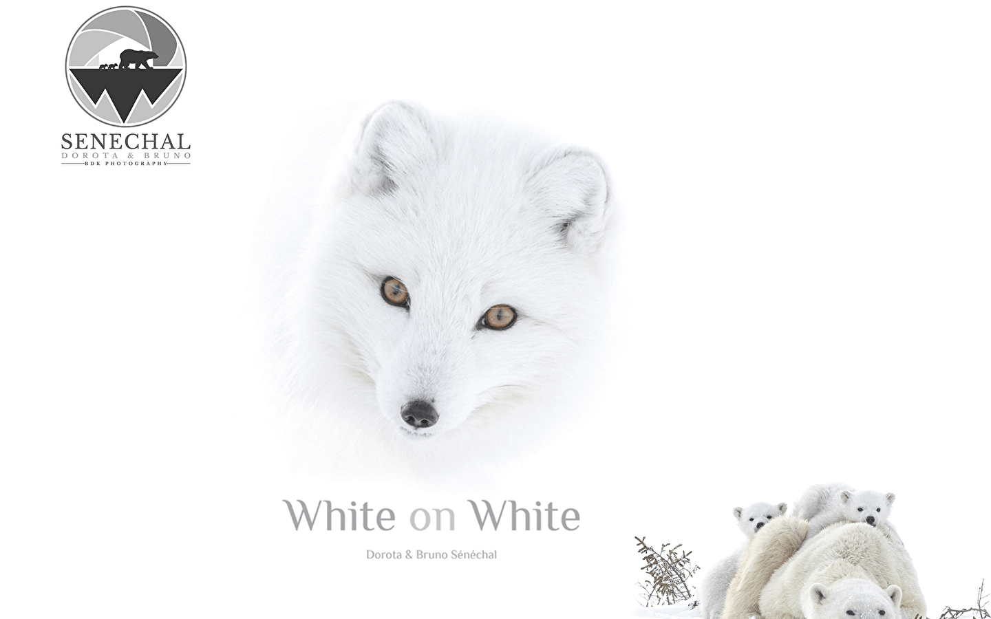 Exposition White on White