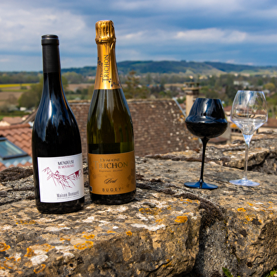 Les sens de la vigne - Domaine Trichon