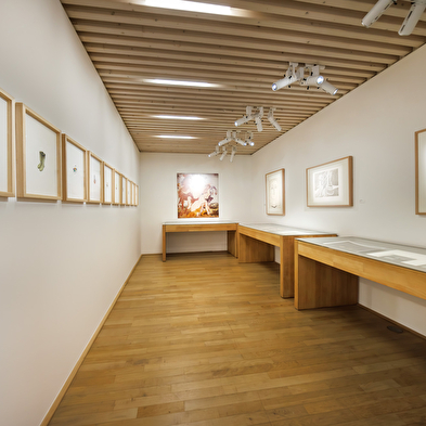 Musée de l'Abbaye - Exposition : Résonance