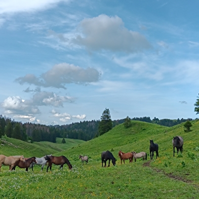 La Ferme du Berbois