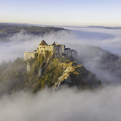 Château de Joux