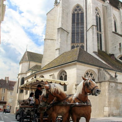 Les attelages du Val d'Amour