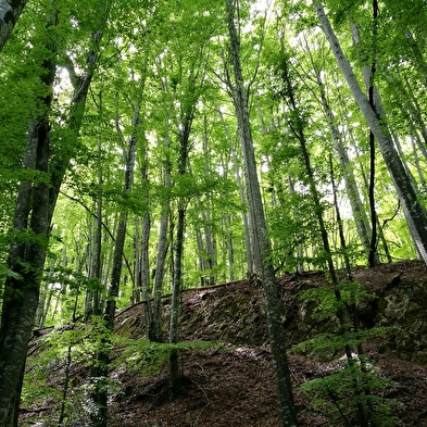 Le sentier des Charbonniers