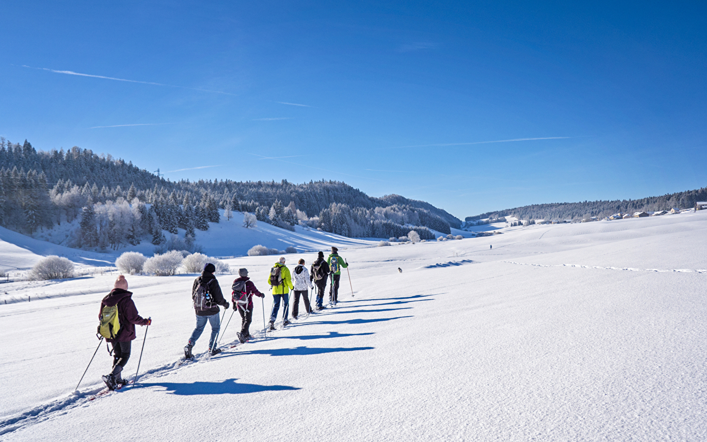 Circuits raquettes à Nanchez