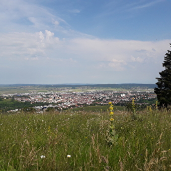 Le Fer à Cheval (Variante) - PONTARLIER