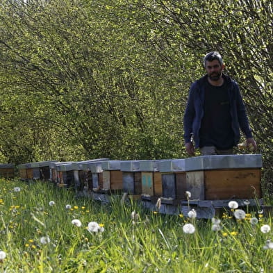 La Ferme de Chantemerle