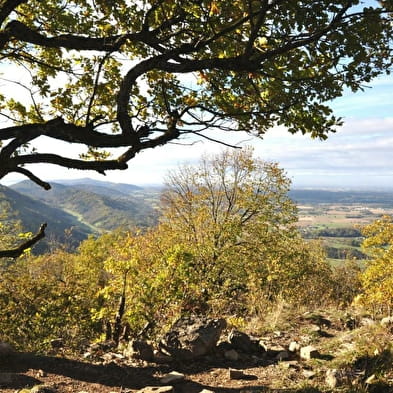 Château et chapelle de Montfort