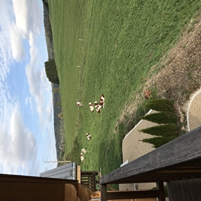 Chalet de Marie