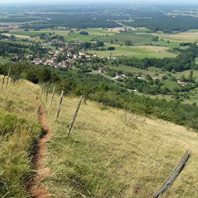 Base VTT Espace Revermont