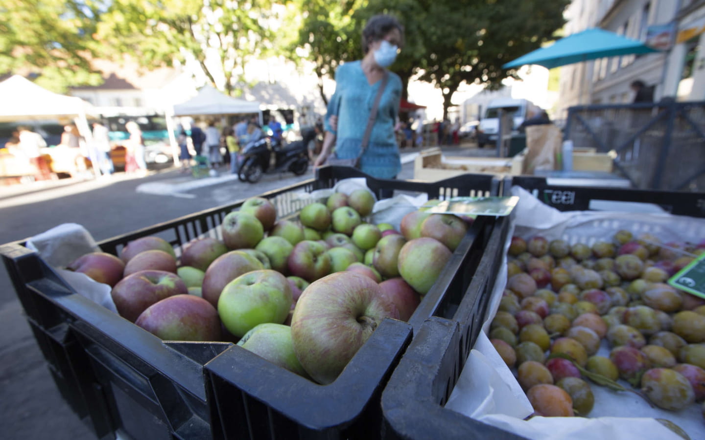 Marché bio de Velotte