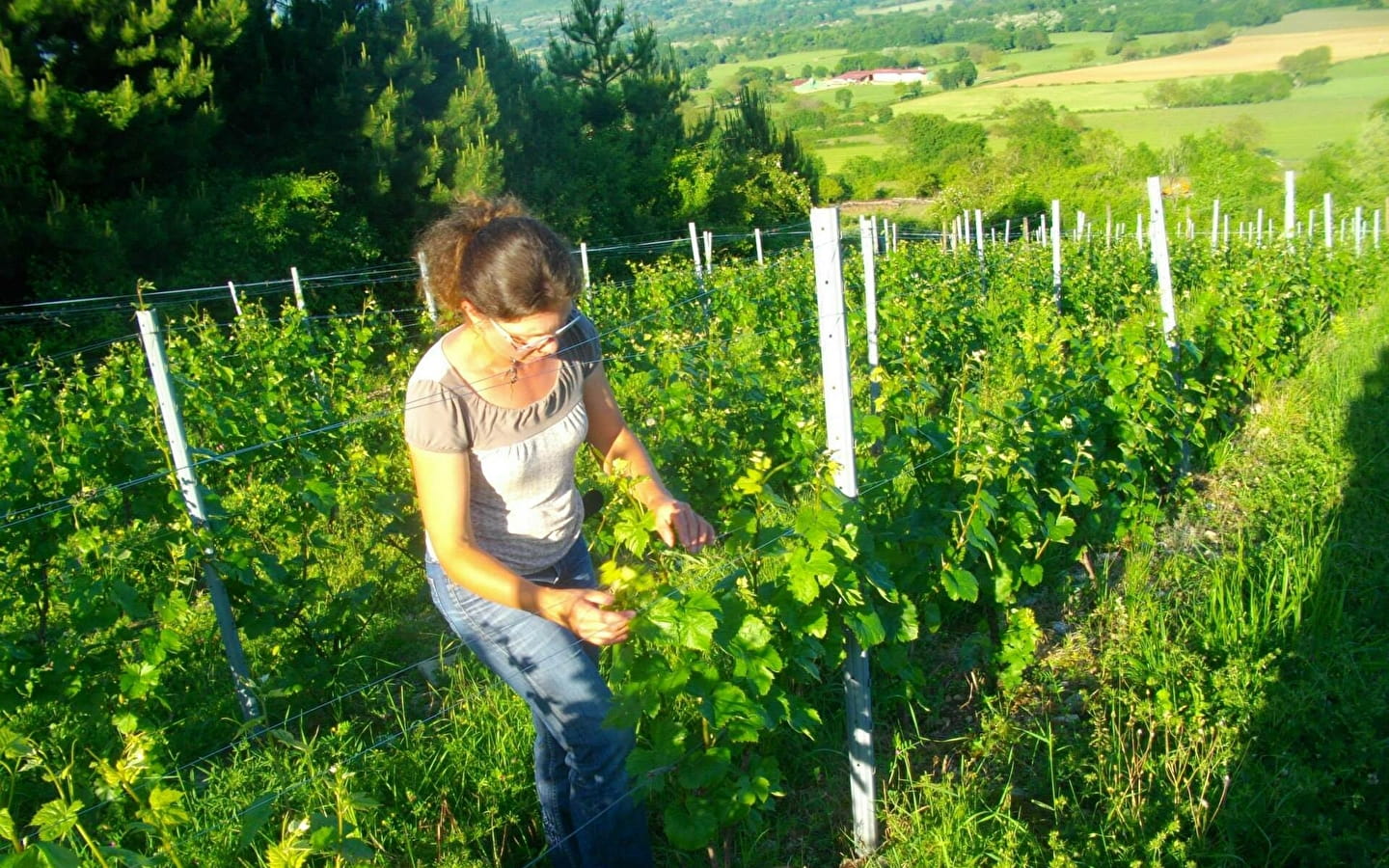 Domaine Véronique Antoine