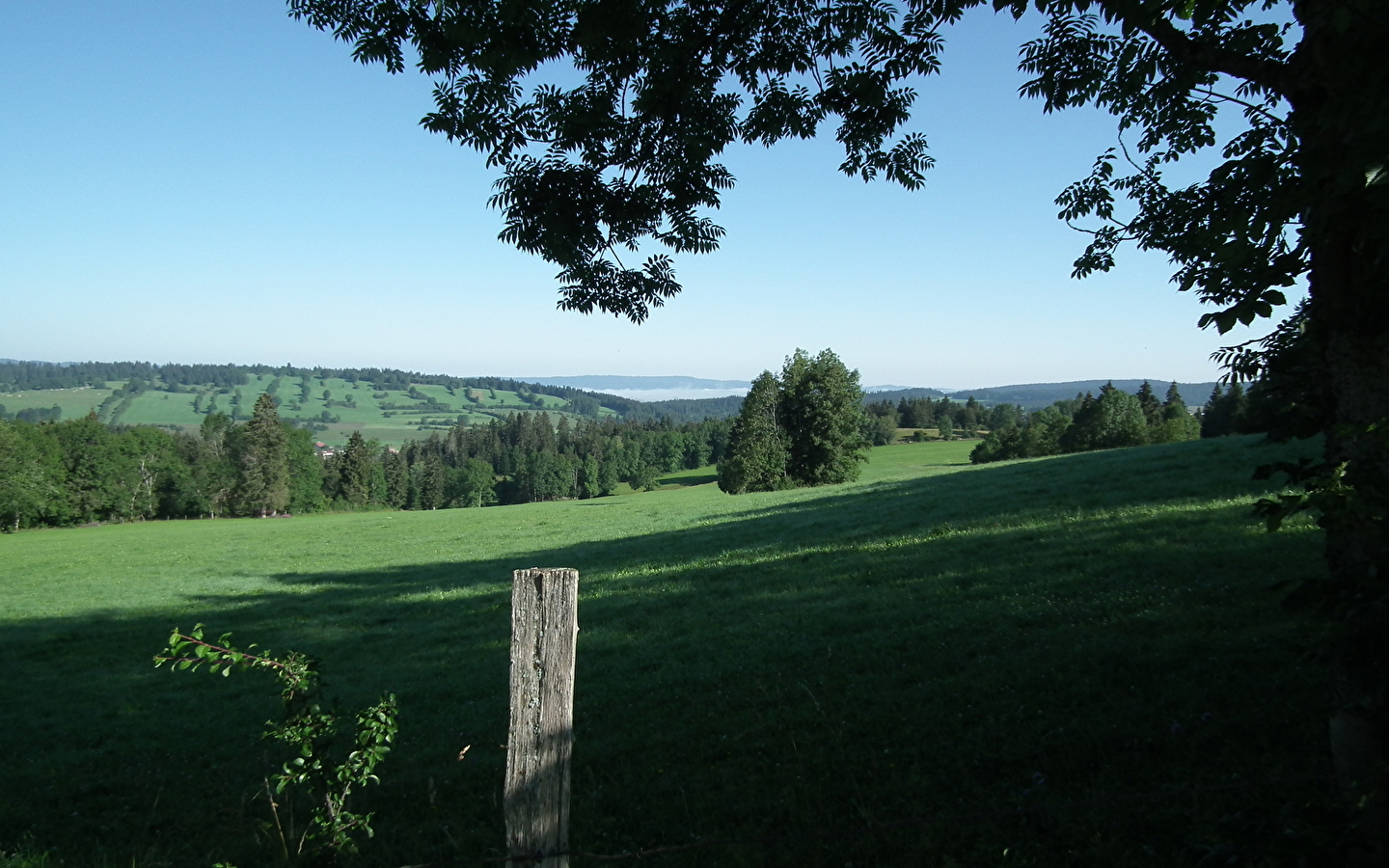 Chemin du Fer