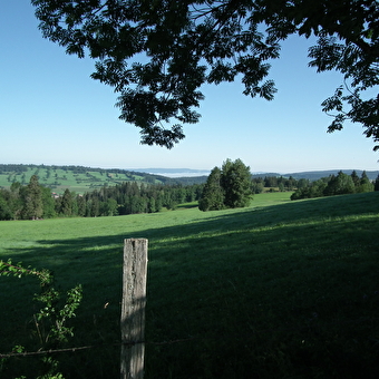 Chemin du Fer - LONGEVILLES-MONT-D'OR