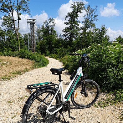 Petite boucle à la découverte de la Tour des Bois