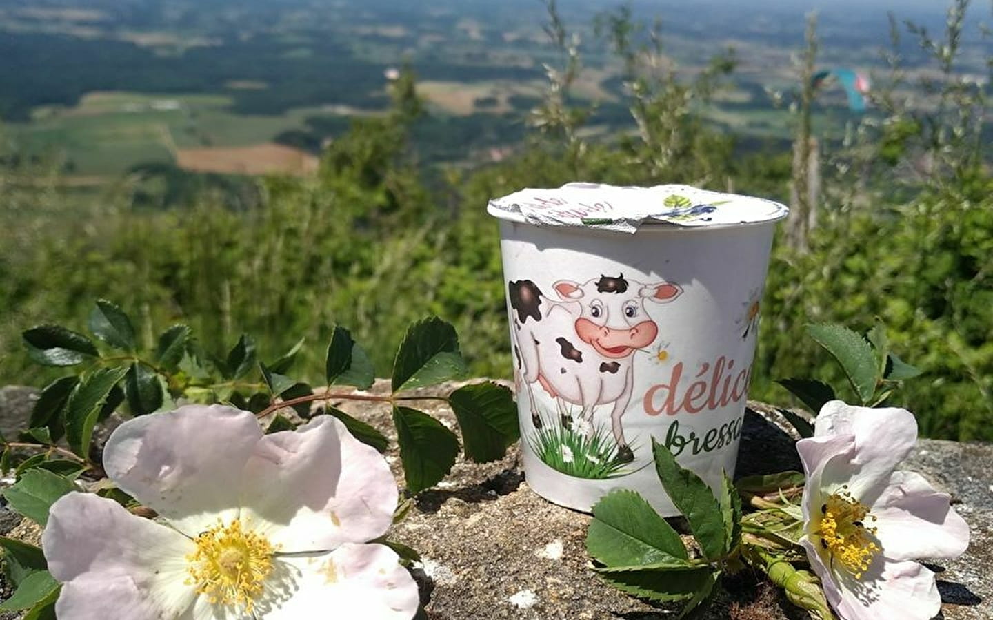 Vente à la ferme au Gaec P2MN - Les délices bressans