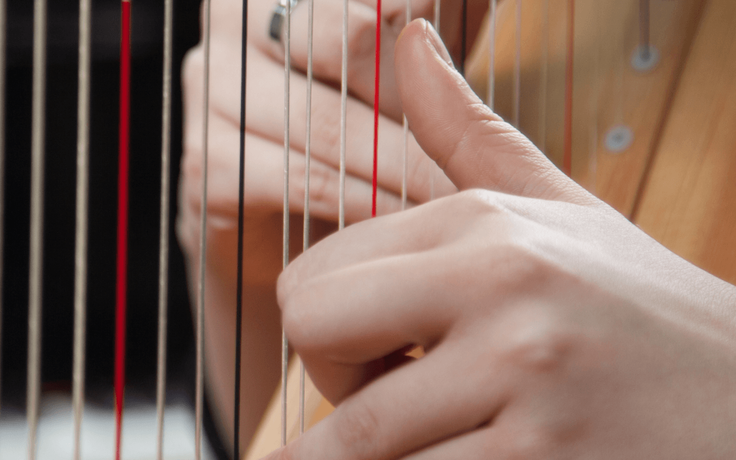 Spectacle Musical Harpenconte