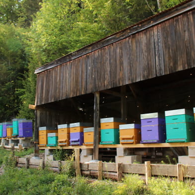 La Miellerie des Combes