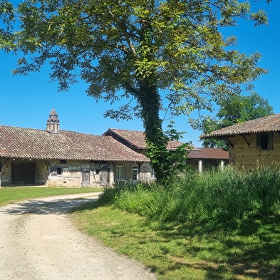Circuit VTT-VTC n°27 (noir) - Les domaines de Bresse