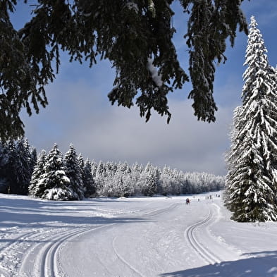 Piste bleue de ski de fond du Plateau de Retord : La Cuaz