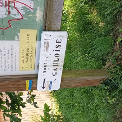 La Gauloise