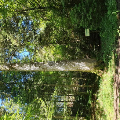 Le sentier de la croix de la bèche