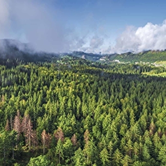 Le tour des savoir-faire - Boucle vélo 07 - Morez