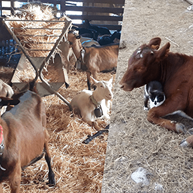 Ferme pédagogique du Naray