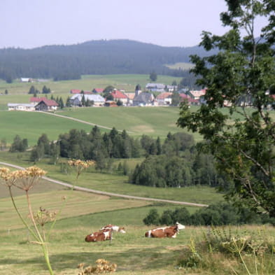 Auberge de la Distillerie