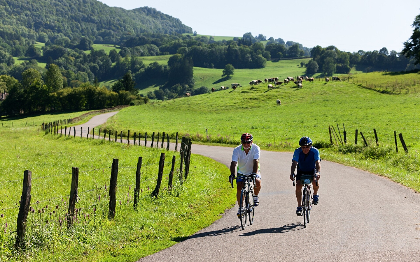 Boucle 15 : Tour de la Petite Montagne