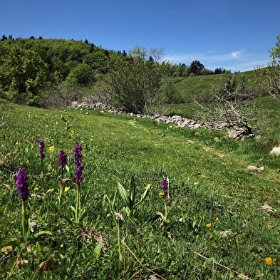 Randonnée des Crêtes de Sur Lyand