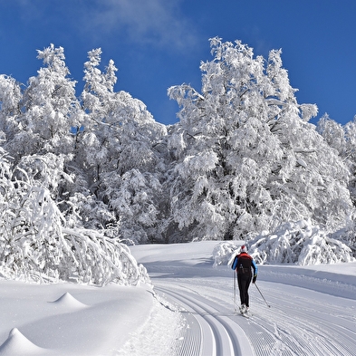 Piste rouge de ski de fond du Plateau de Retord : Les Clarines