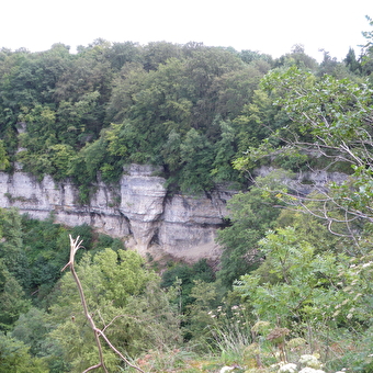 Belvédère du Dard - SANCEY