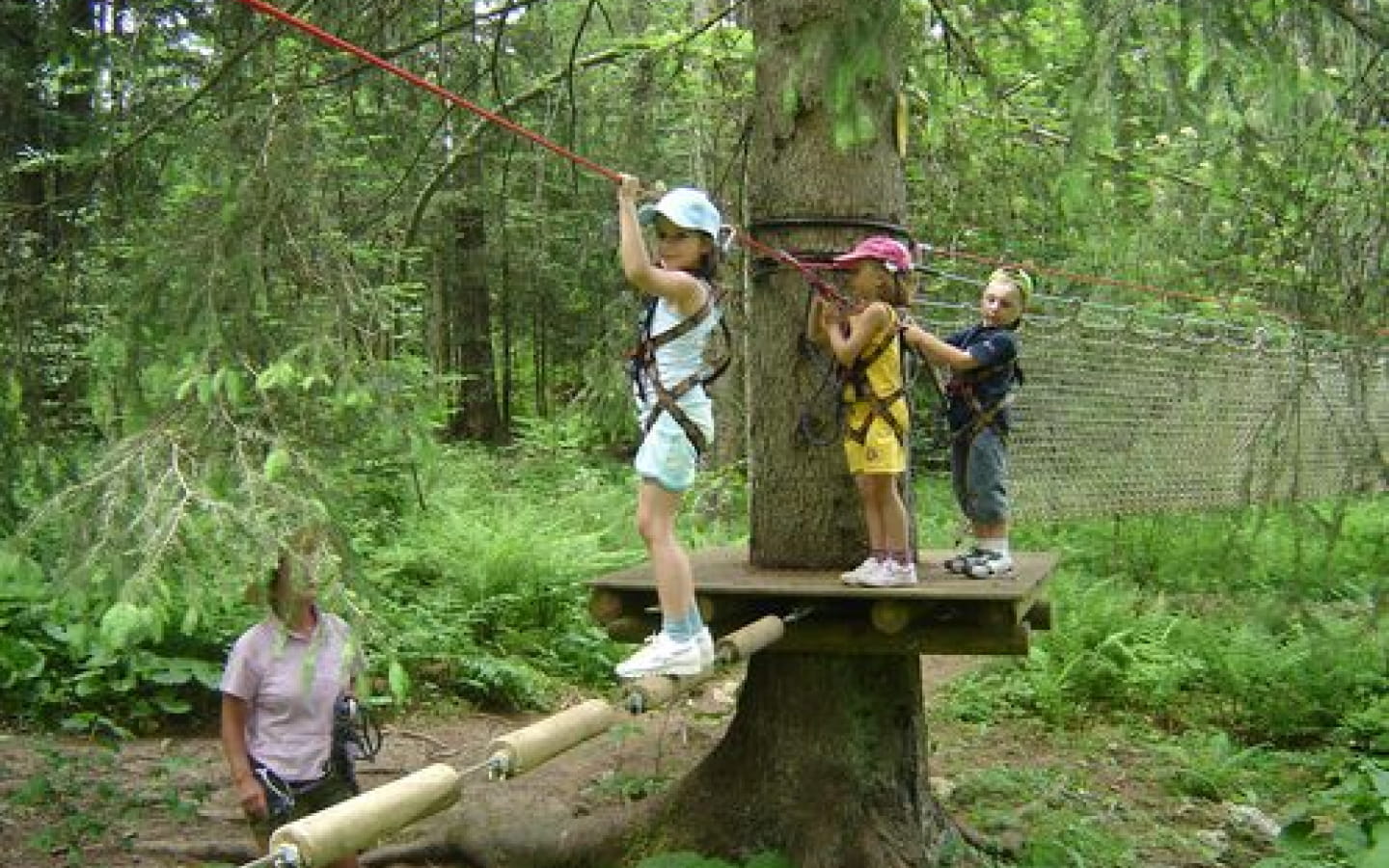 Parcours aventure en forêt - Entre Ciel et Terre