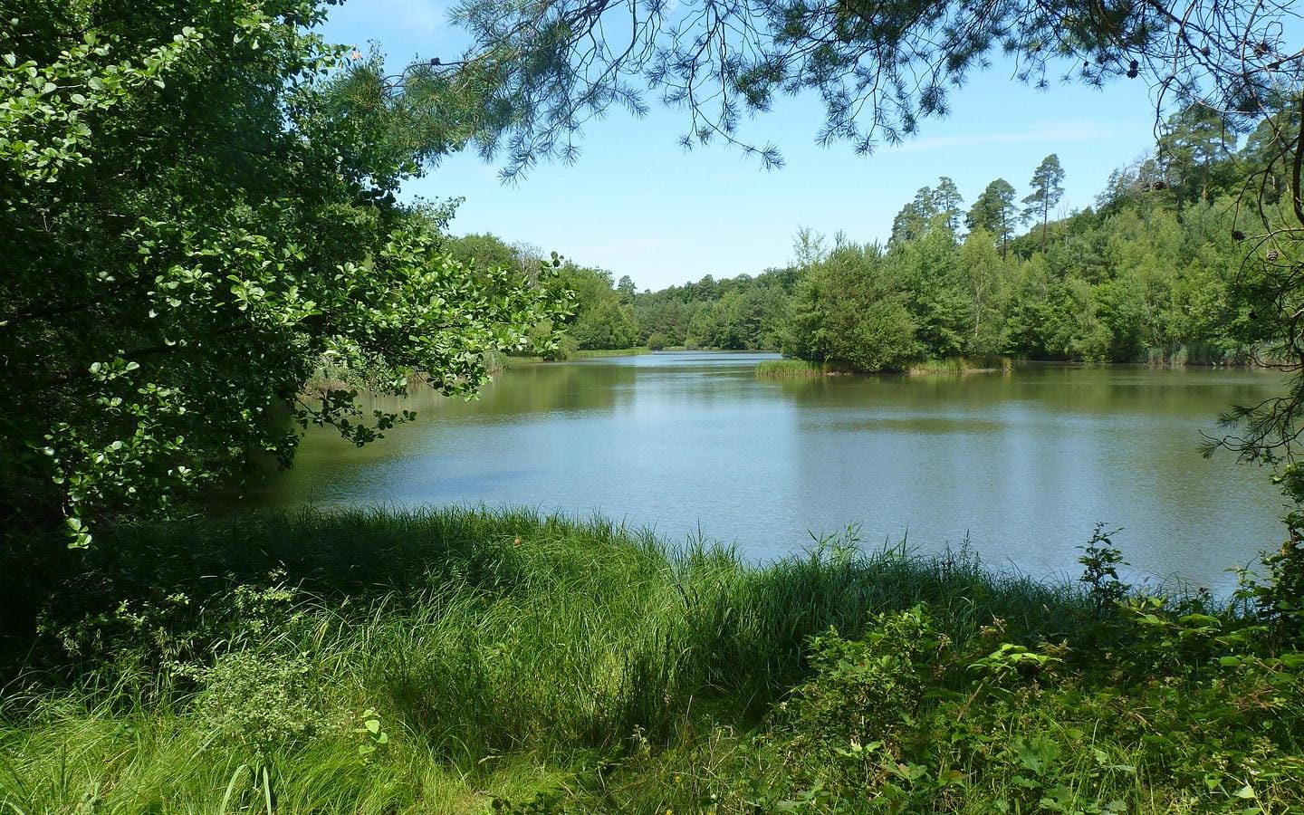 Chaux et Légendes