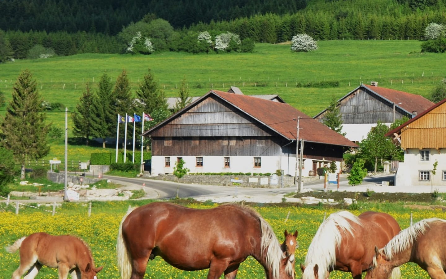 Ferme du montagnon