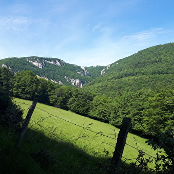 Circuit de la cascade de Luizet et tour du Tréfond (version intégrale) - SERRIERES-DE-BRIORD
