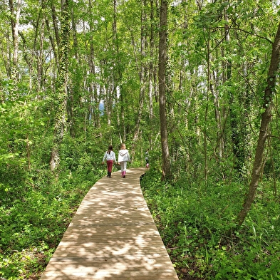 Sentier thématique : Marais des Bidonnes