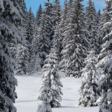 Site Nordique de La Cernay Blanche