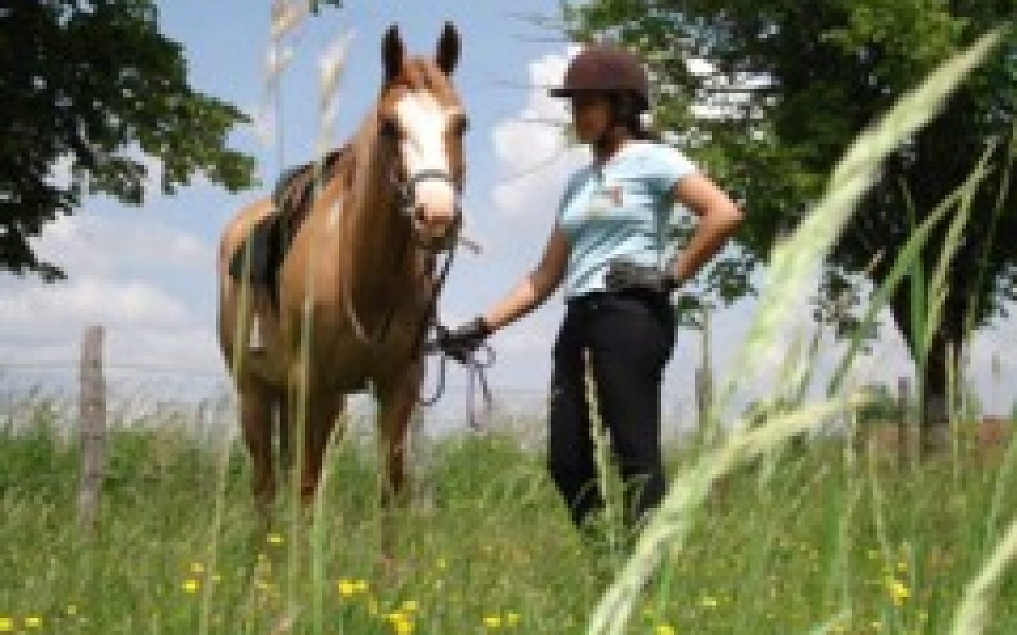 Le Ranch Jack
