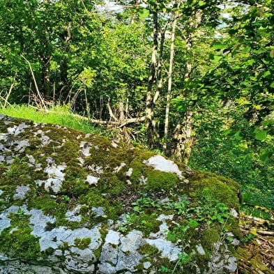 Cascades du Trou de la Marmite