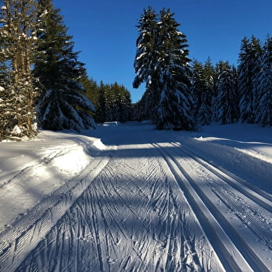 Piste noire de ski de fond de Lachat : Les Moussières