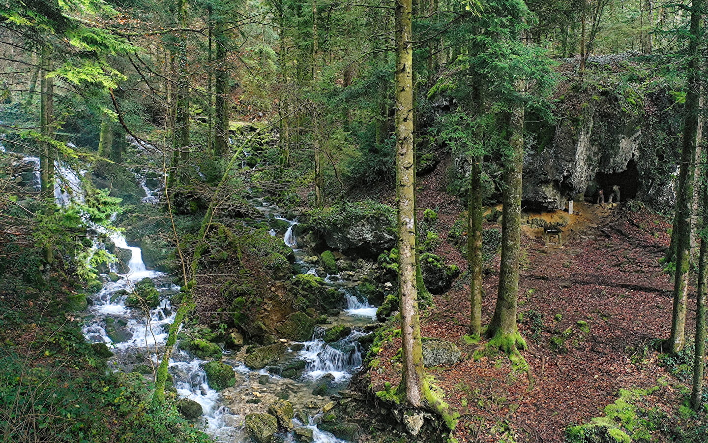 Source de l'Angillon