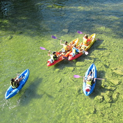 Grenouille canoë