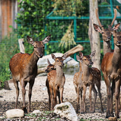 Parc animalier du Hérisson 