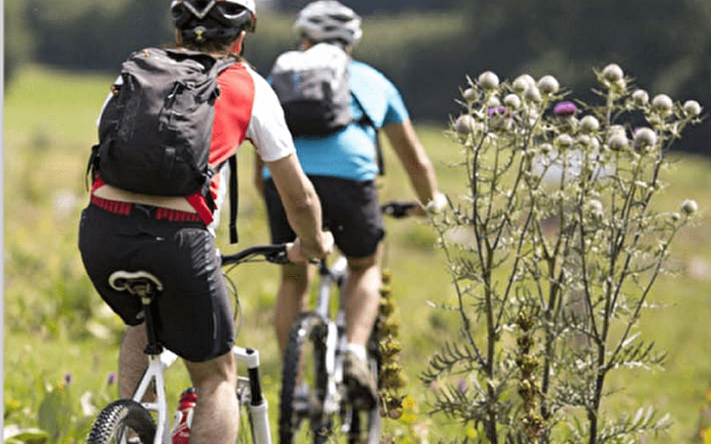 Les Chemins de la Contrebande - Les Gabelous (VTT)