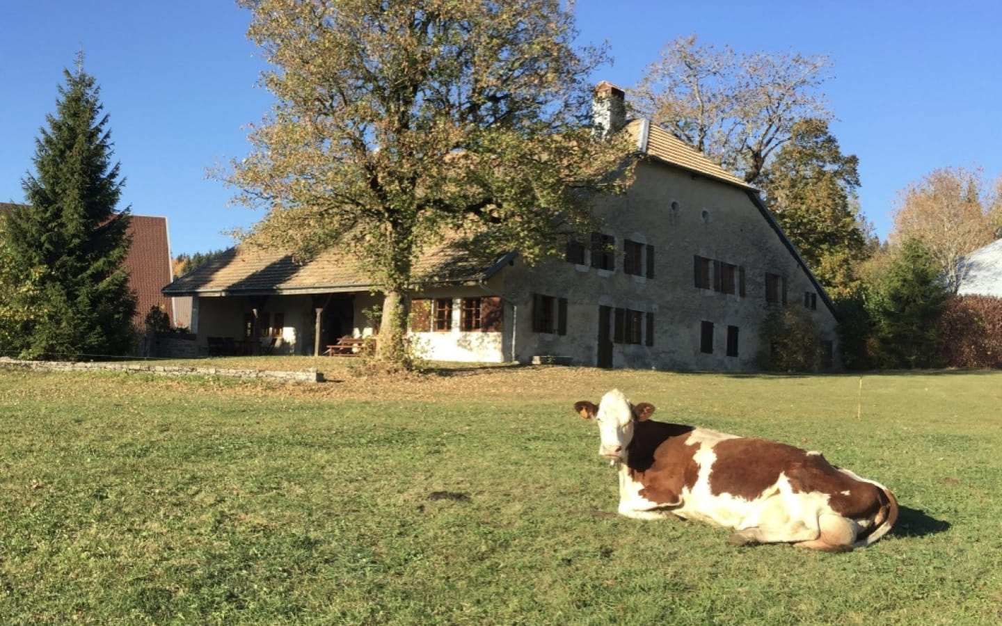 L'Annexe du Haut-Doubs