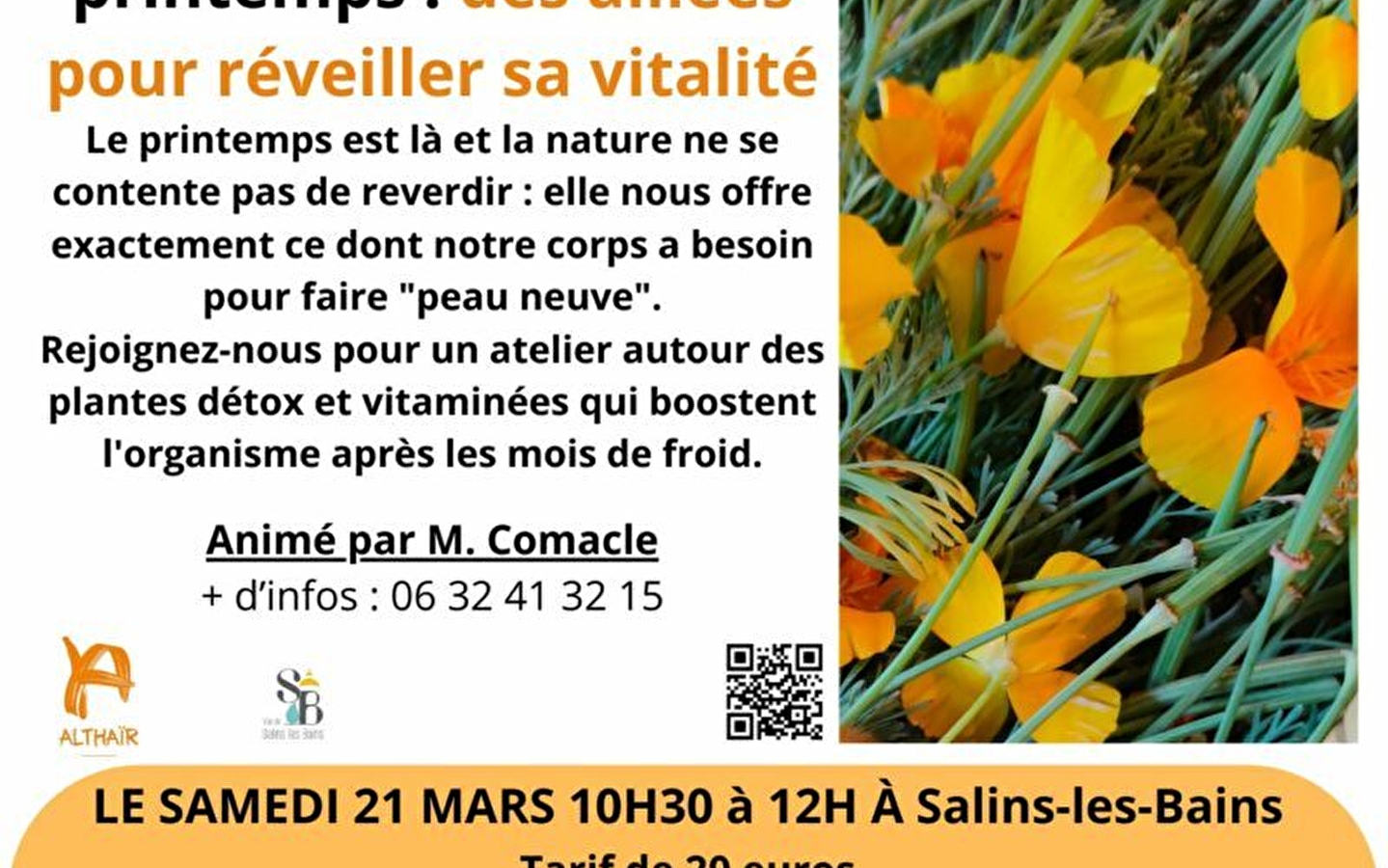 Les Plantes de printemps