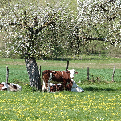Étang de Verne - n°69